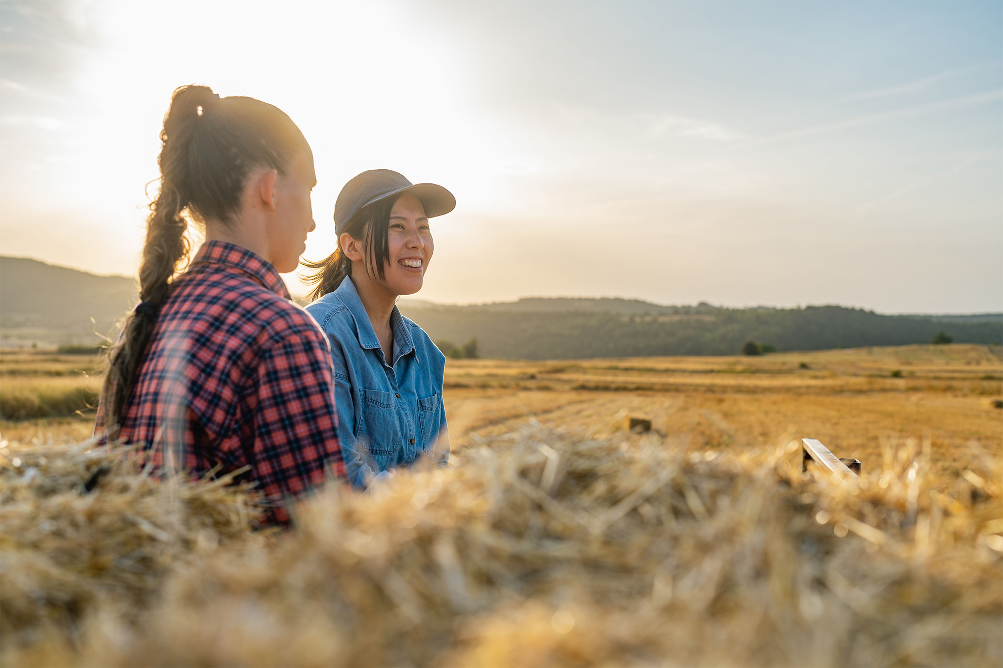 The sun is shining - Make hay! 
